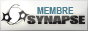 Synapse